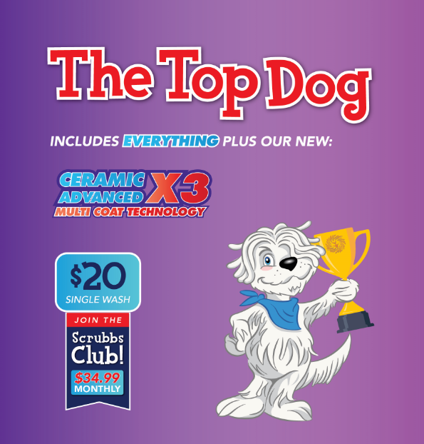 The Top Dog Package